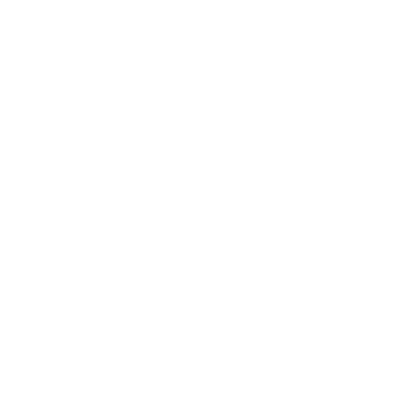 SK E&S